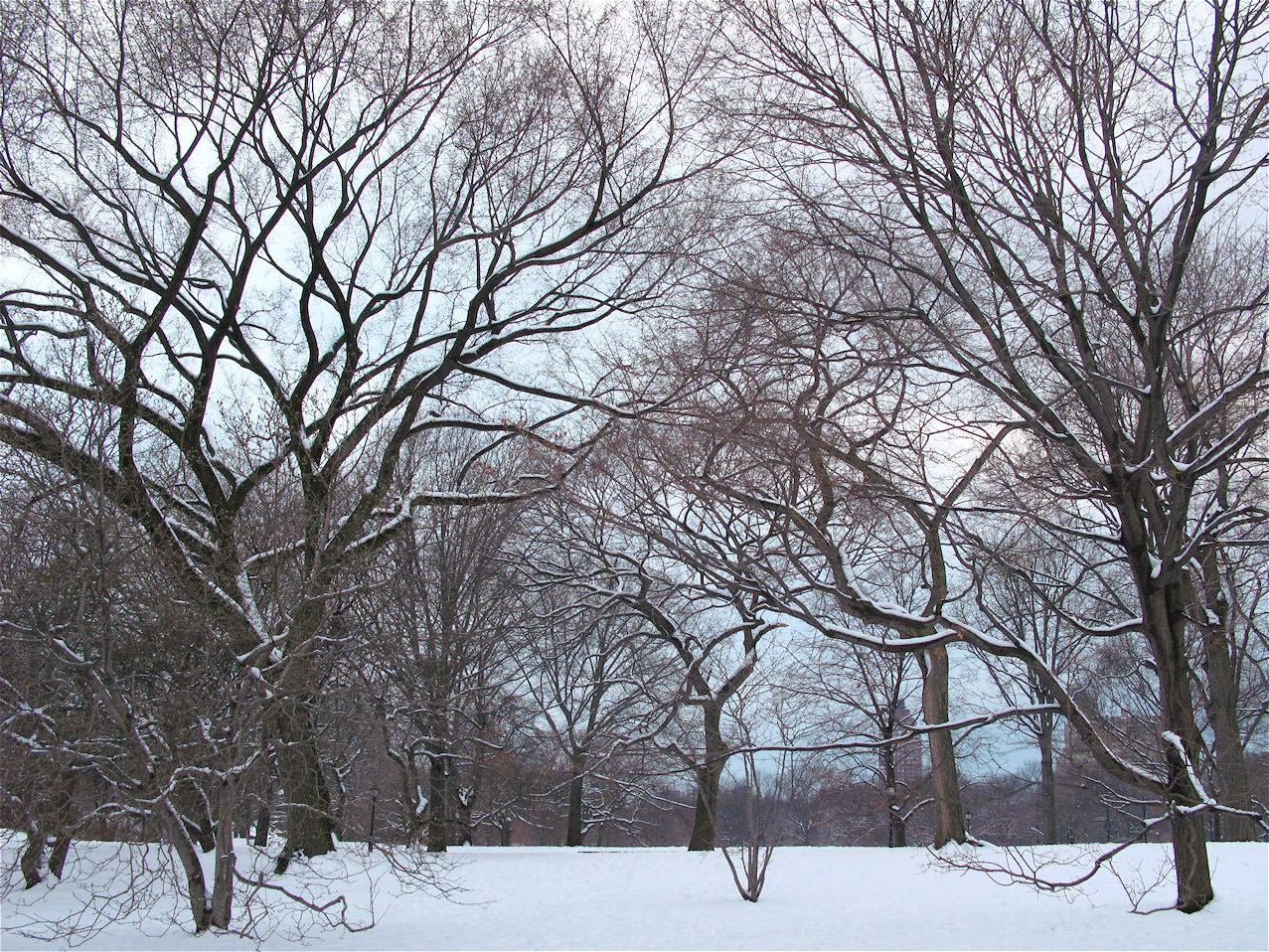 What is the average temperature in New York in December?