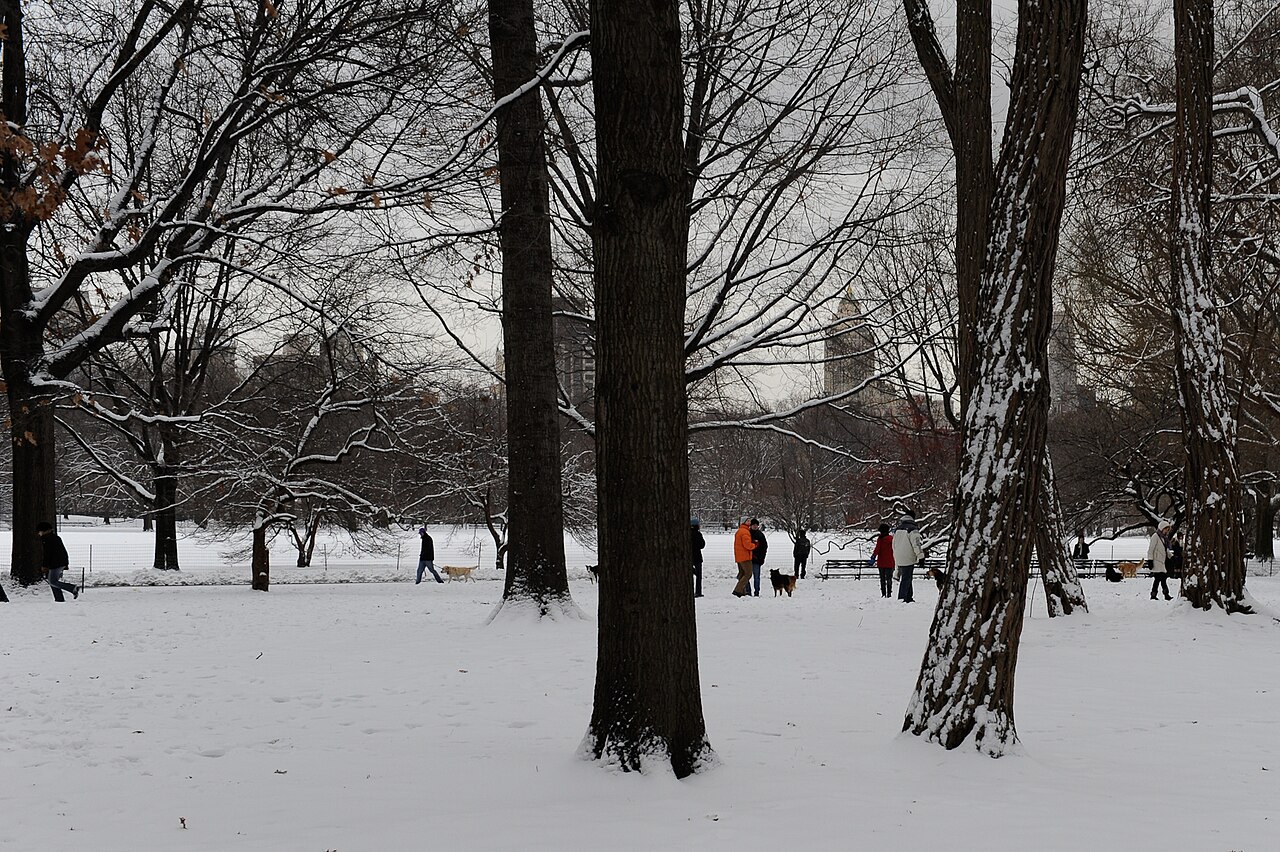 How often does it snow in New York?